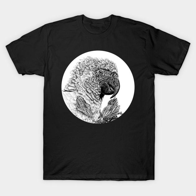 Blue-throated macaw circle T-Shirt by lorendowding